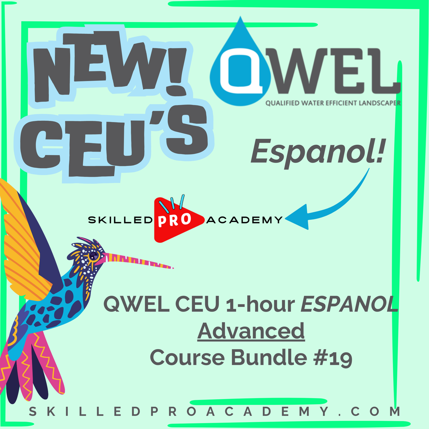 QWEL CEU 1-hour Espanol Advanced Course Bundle #19