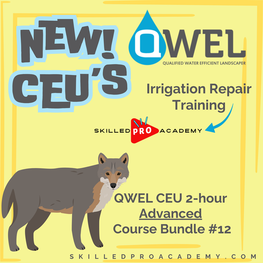 QWEL CEU 2-hour Advanced Course Bundle #12