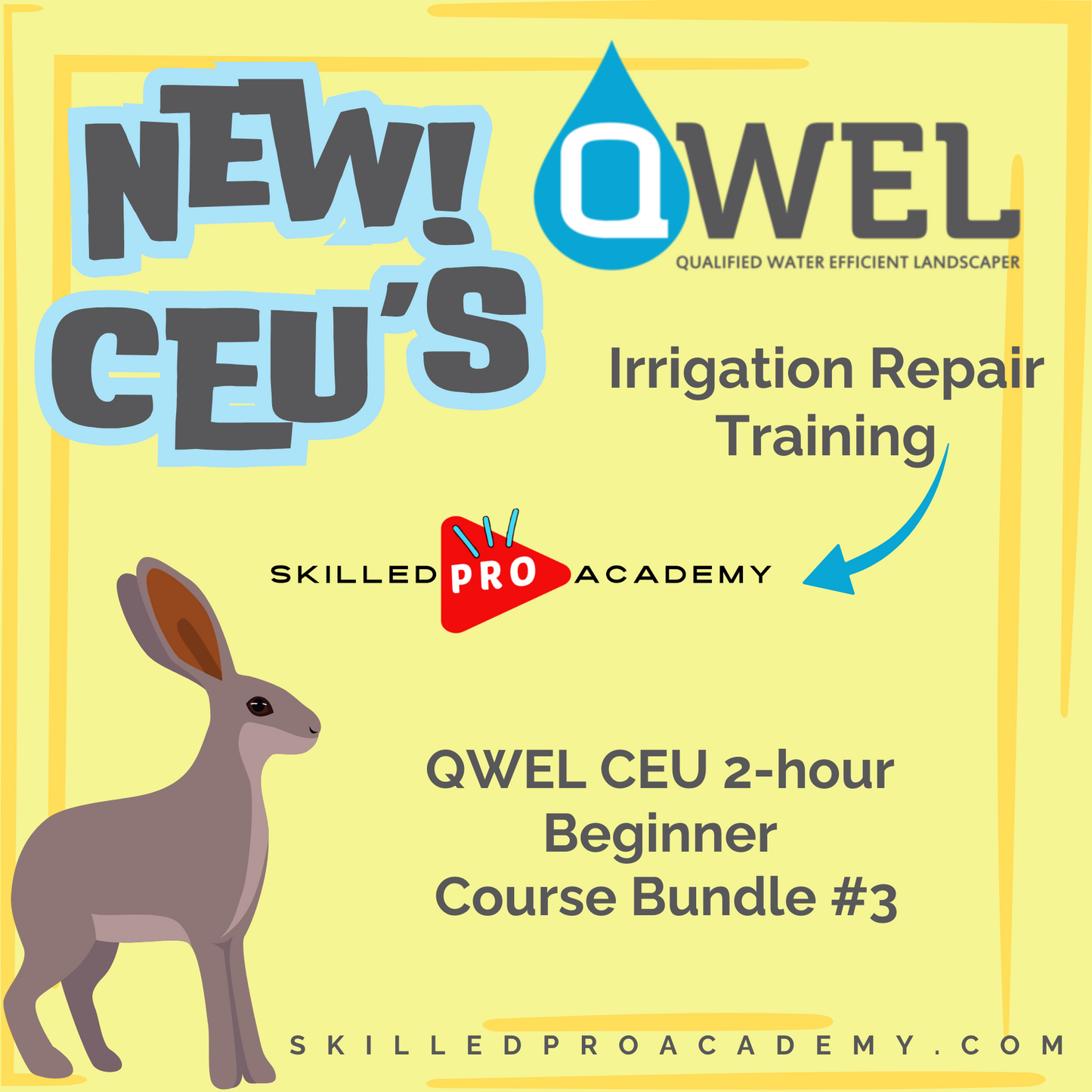QWEL CEU 2-hour Beginner Course Bundle #3