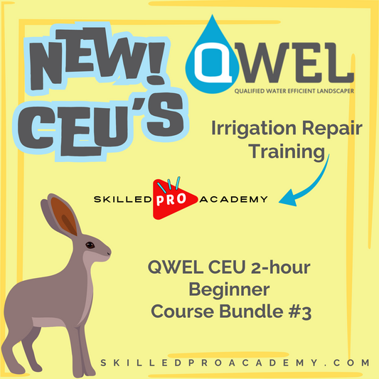 QWEL CEU 2-hour Beginner Course Bundle #3