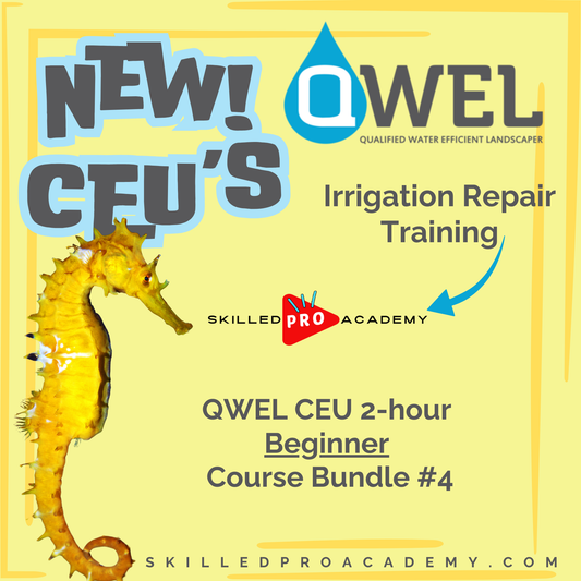QWEL CEU 2-hour Beginner Course Bundle #4