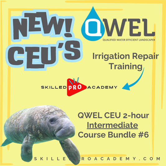 QWEL CEU 2-hour Intermediate Course Bundle #6