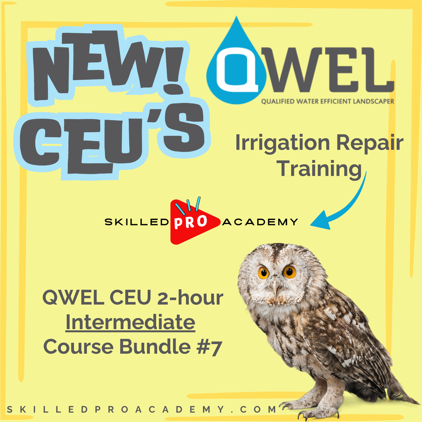 QWEL CEU 2-hour Intermediate Course Bundle #7
