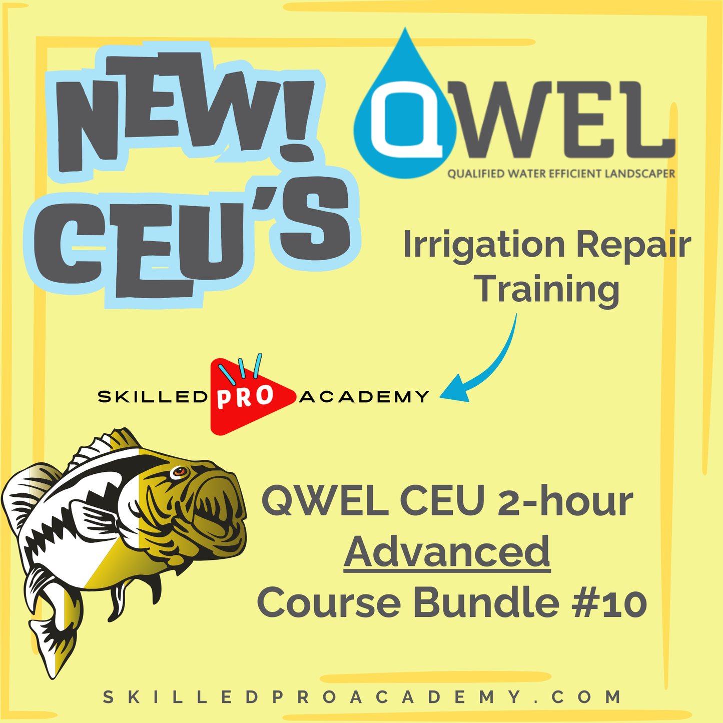 QWEL CEU 2-hour Advanced Course Bundle #10