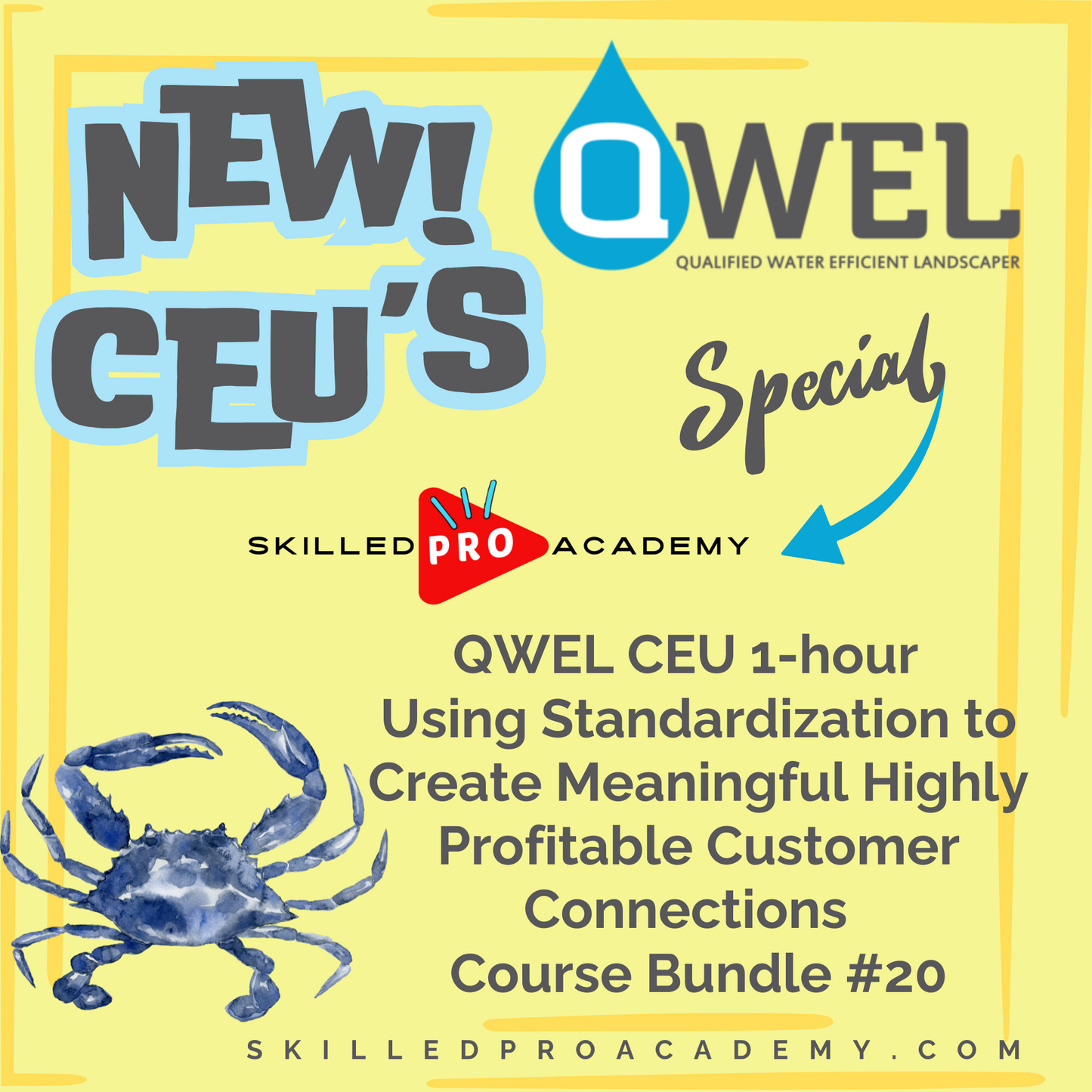QWEL CEU 1-hour SPOTLIGHT FOR BUSINESS Using Standardization to Create Meaningful Highly Profitable Customer Connections  Course Bundle #20