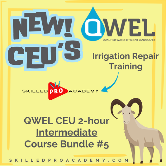 QWEL CEU 2-hour Intermediate Course Bundle #5